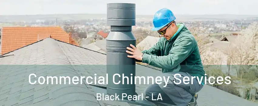 Commercial Chimney Services Black Pearl - LA