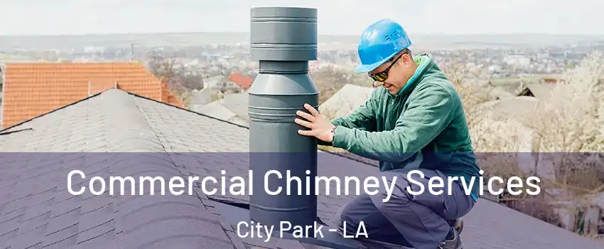 Commercial Chimney Services City Park - LA