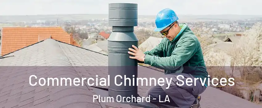 Commercial Chimney Services Plum Orchard - LA