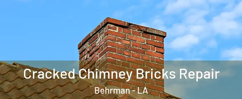 Cracked Chimney Bricks Repair Behrman - LA