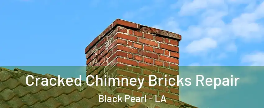 Cracked Chimney Bricks Repair Black Pearl - LA