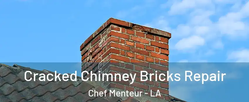 Cracked Chimney Bricks Repair Chef Menteur - LA