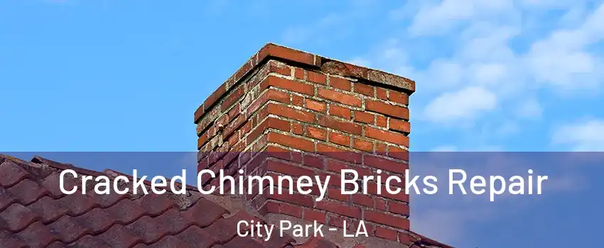 Cracked Chimney Bricks Repair City Park - LA