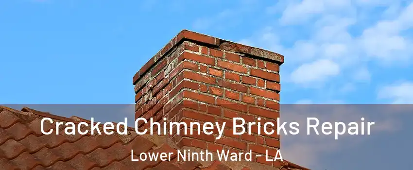 Cracked Chimney Bricks Repair Lower Ninth Ward - LA