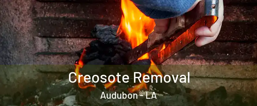 Creosote Removal Audubon - LA