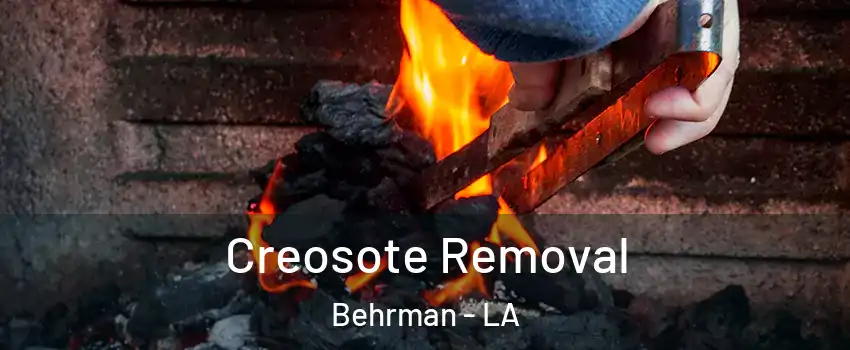 Creosote Removal Behrman - LA