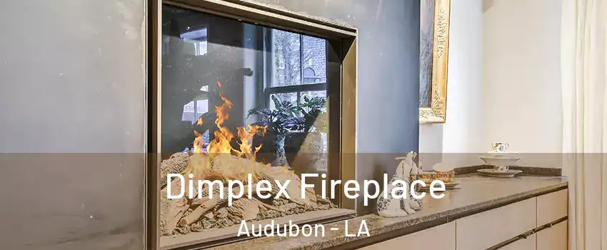 Dimplex Fireplace Audubon - LA