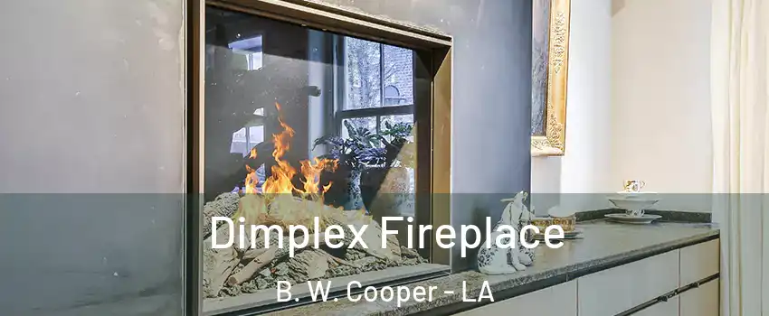 Dimplex Fireplace B. W. Cooper - LA