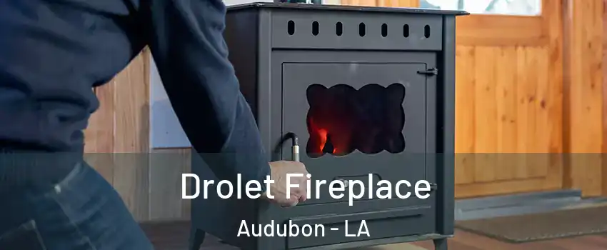 Drolet Fireplace Audubon - LA