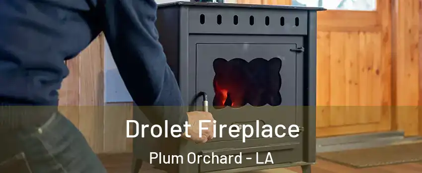 Drolet Fireplace Plum Orchard - LA