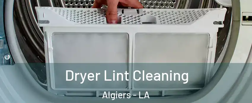 Dryer Lint Cleaning Algiers - LA