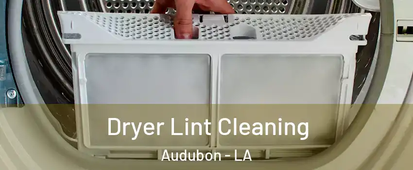 Dryer Lint Cleaning Audubon - LA