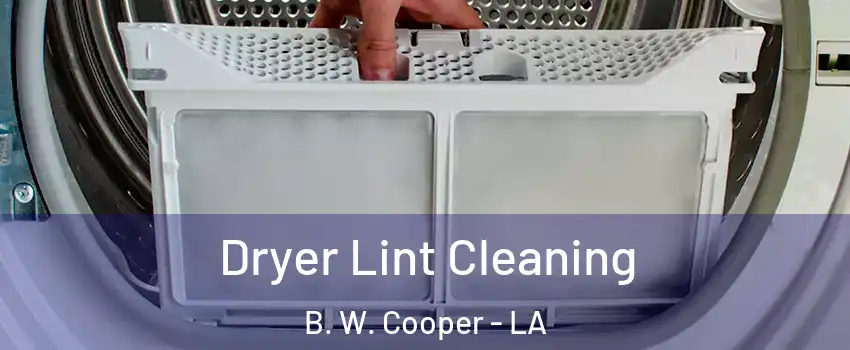 Dryer Lint Cleaning B. W. Cooper - LA