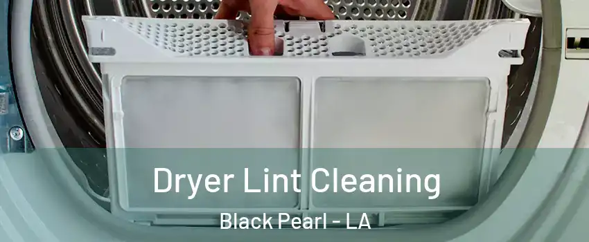 Dryer Lint Cleaning Black Pearl - LA