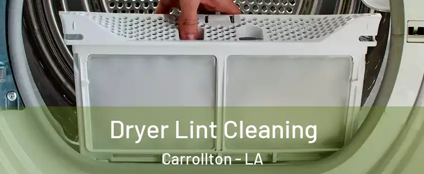 Dryer Lint Cleaning Carrollton - LA