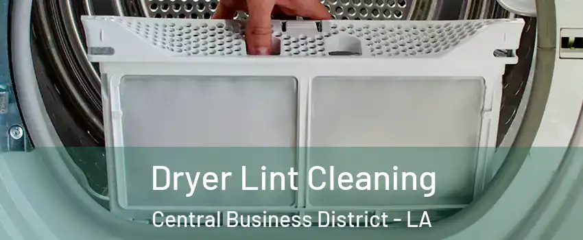 Dryer Lint Cleaning Central Business District - LA