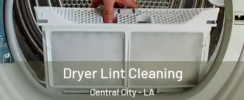 Dryer Lint Cleaning Central City - LA