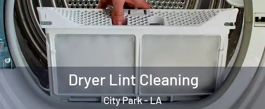 Dryer Lint Cleaning City Park - LA