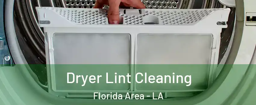 Dryer Lint Cleaning Florida Area - LA