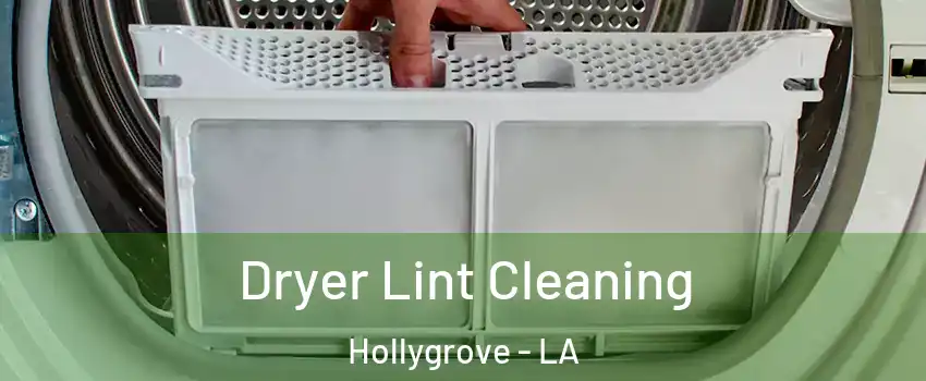 Dryer Lint Cleaning Hollygrove - LA