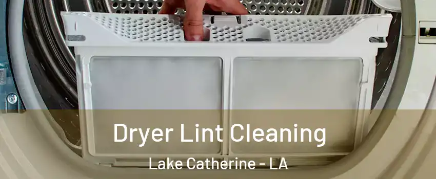 Dryer Lint Cleaning Lake Catherine - LA