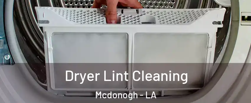 Dryer Lint Cleaning Mcdonogh - LA