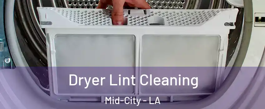 Dryer Lint Cleaning Mid-City - LA