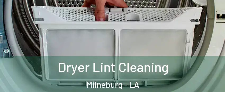 Dryer Lint Cleaning Milneburg - LA