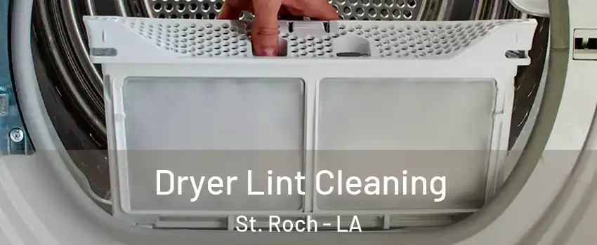 Dryer Lint Cleaning St. Roch - LA