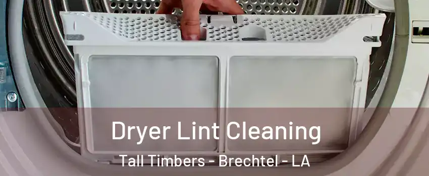 Dryer Lint Cleaning Tall Timbers - Brechtel - LA