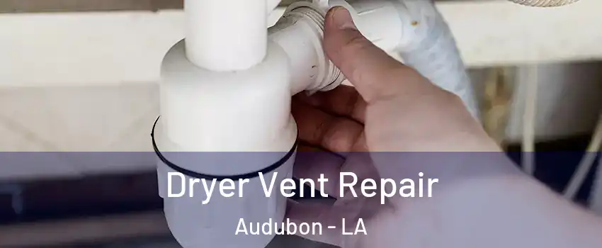 Dryer Vent Repair Audubon - LA