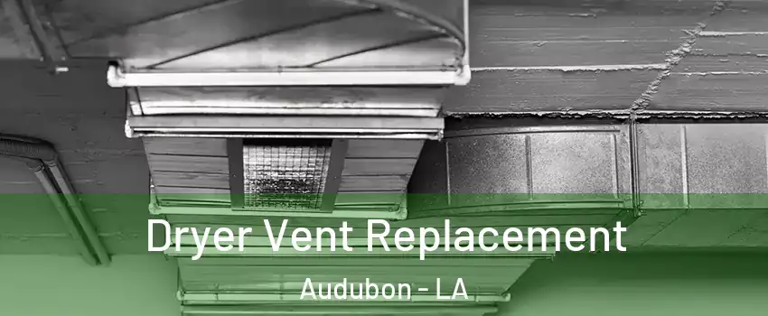 Dryer Vent Replacement Audubon - LA