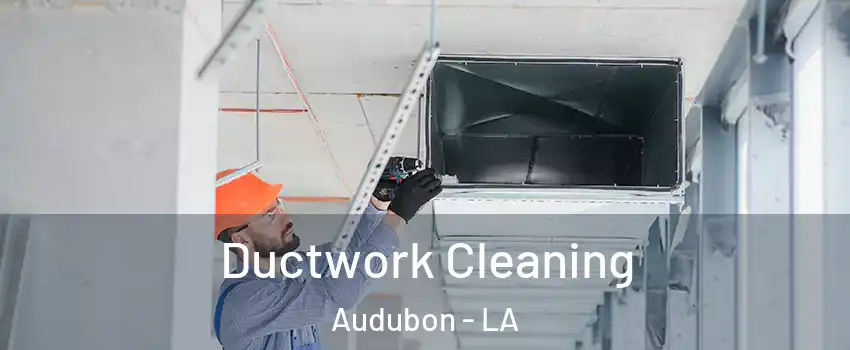 Ductwork Cleaning Audubon - LA