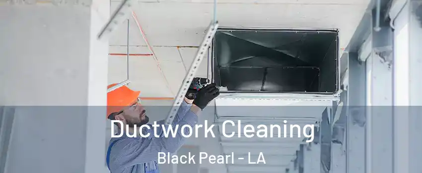 Ductwork Cleaning Black Pearl - LA