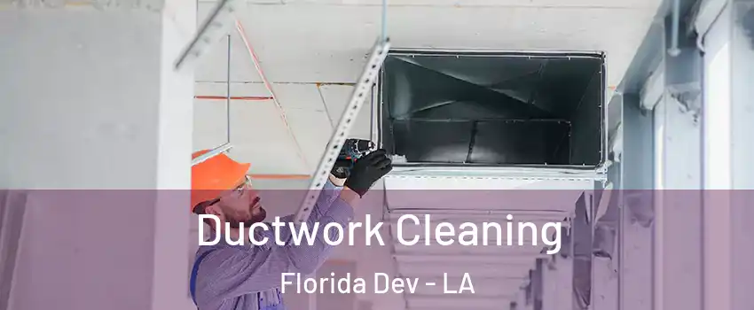 Ductwork Cleaning Florida Dev - LA