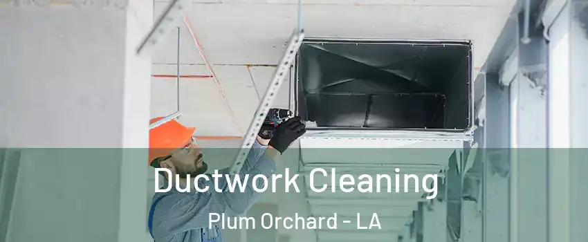 Ductwork Cleaning Plum Orchard - LA