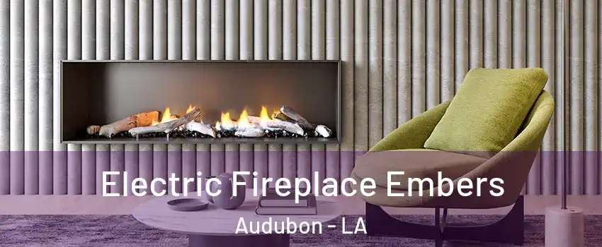 Electric Fireplace Embers Audubon - LA