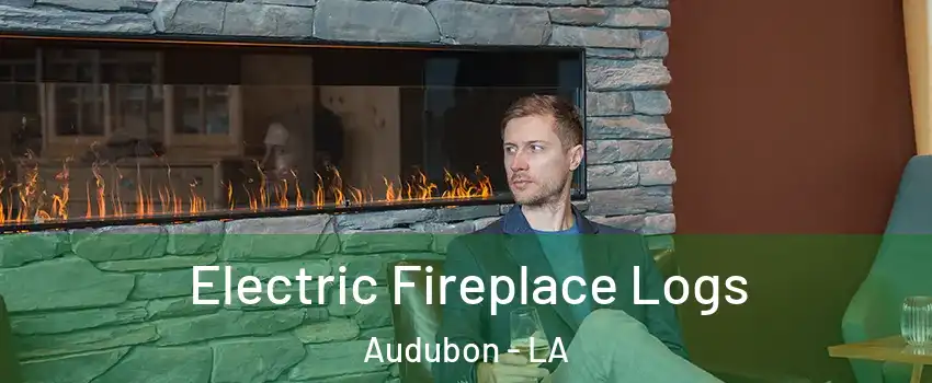 Electric Fireplace Logs Audubon - LA