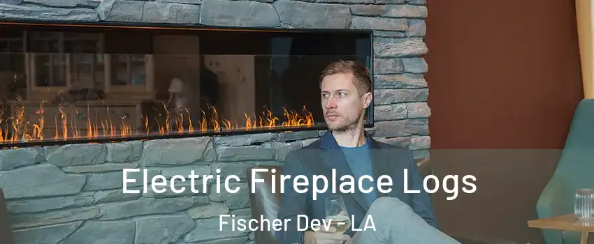 Electric Fireplace Logs Fischer Dev - LA