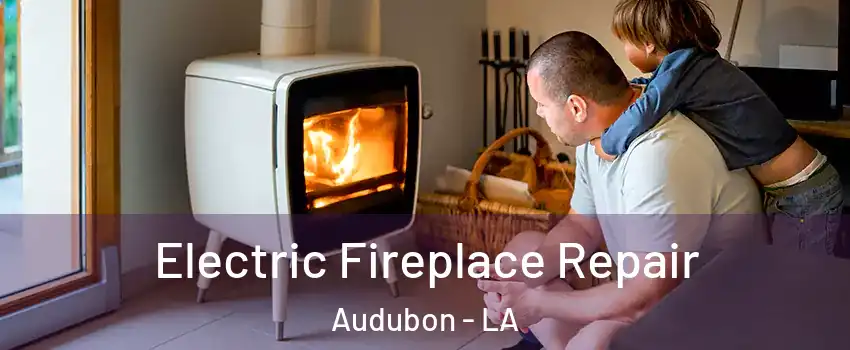 Electric Fireplace Repair Audubon - LA