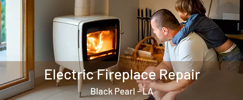 Electric Fireplace Repair Black Pearl - LA