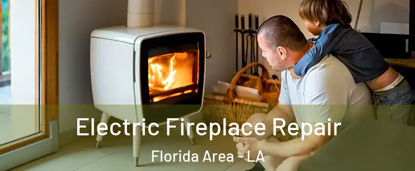 Electric Fireplace Repair Florida Area - LA