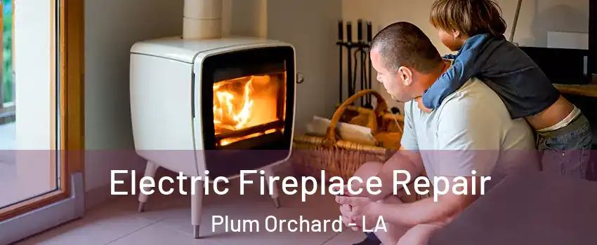 Electric Fireplace Repair Plum Orchard - LA