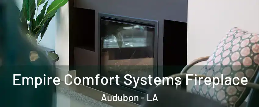 Empire Comfort Systems Fireplace Audubon - LA