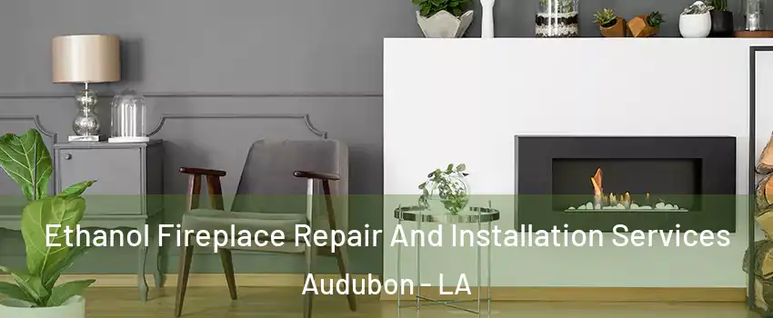 Ethanol Fireplace Repair And Installation Services Audubon - LA