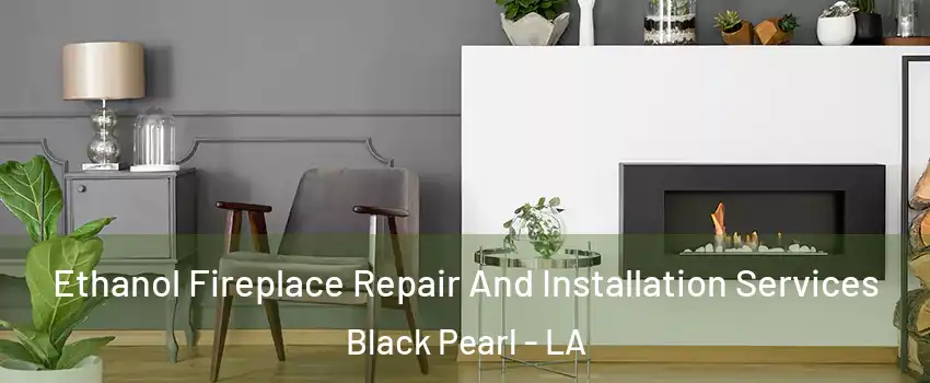 Ethanol Fireplace Repair And Installation Services Black Pearl - LA