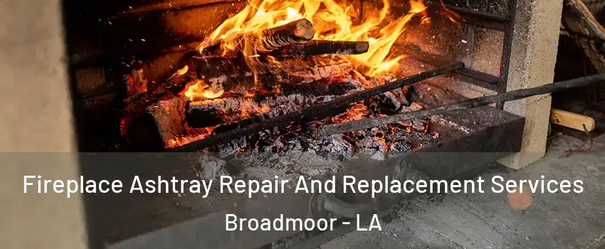 Fireplace Ashtray Repair And Replacement Services Broadmoor - LA