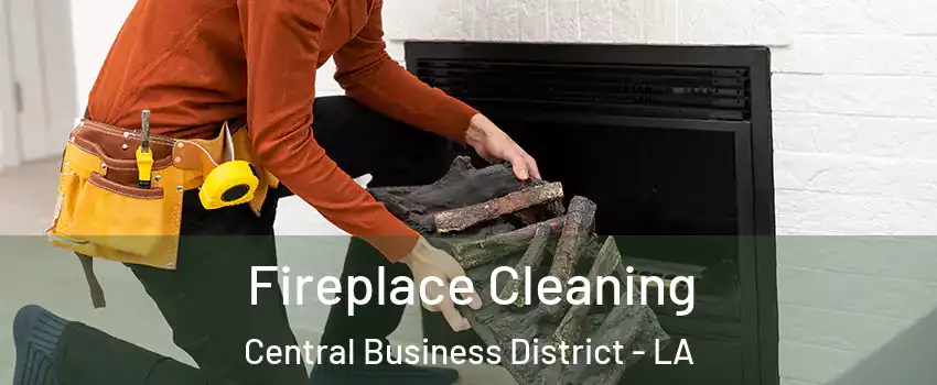 Fireplace Cleaning Central Business District - LA