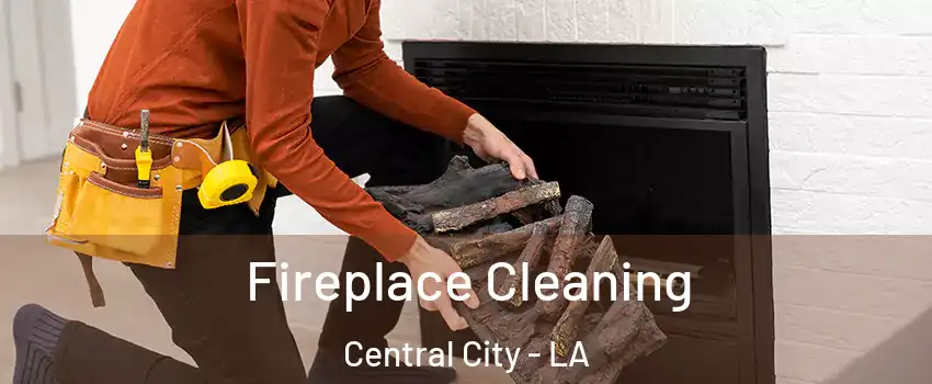 Fireplace Cleaning Central City - LA