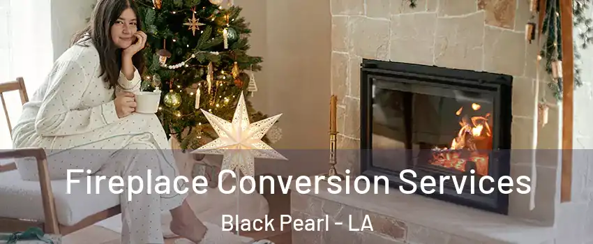 Fireplace Conversion Services Black Pearl - LA